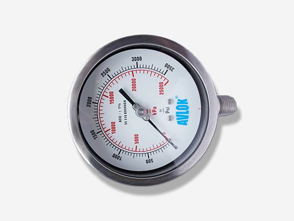 Stainless Steel Pressure Gauges